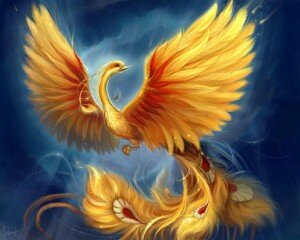 phoenix pasare